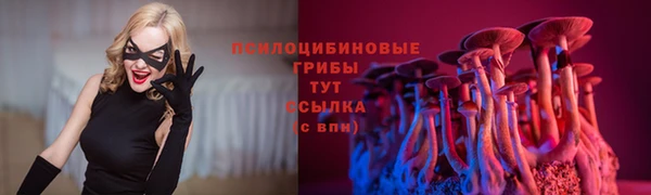 ПСИЛОЦИБИНОВЫЕ ГРИБЫ Медногорск